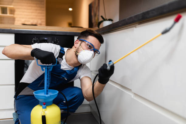 Pest Control for Restaurants in Wheelersburg, OH