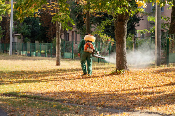 Best Spider Control Near Me  in Wheelersburg, OH