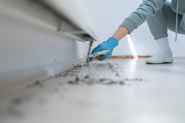Best Pest Control Near Me in Wheelersburg, OH