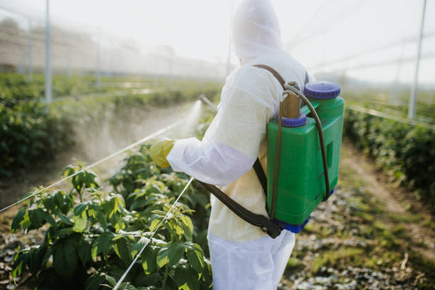 Best Commercial Pest Control Services  in Wheelersburg, OH